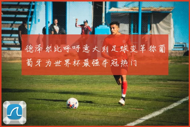 德泽尔比呼吁意大利足球变革称葡萄牙为世界杯最强夺冠热门
