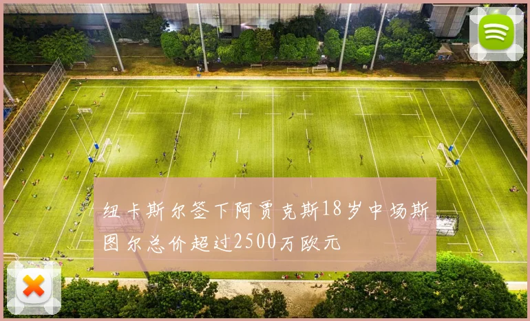 纽卡斯尔签下阿贾克斯18岁中场斯图尔总价超过2500万欧元