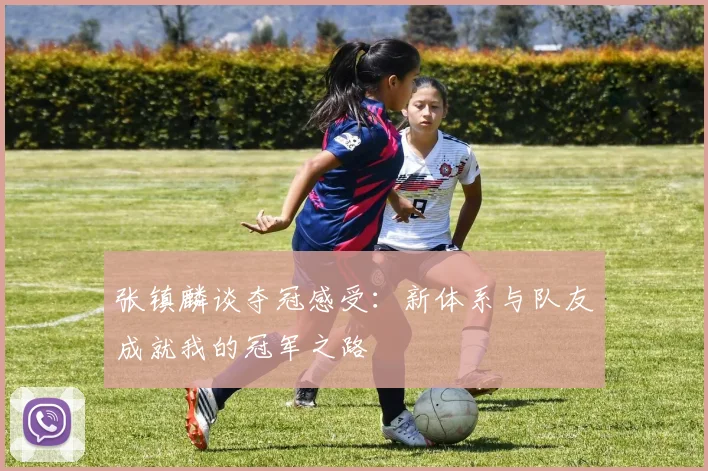张镇麟谈夺冠感受：新体系与队友成就我的冠军之路
