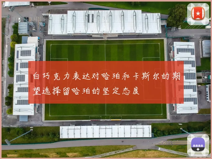 白巧克力表达对哈珀和卡斯尔的期望选择留哈珀的坚定态度